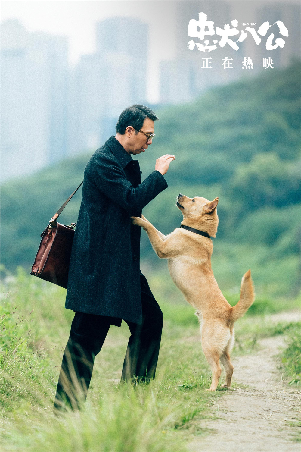 Z6·尊龙凯时(中国区)人生就是搏!