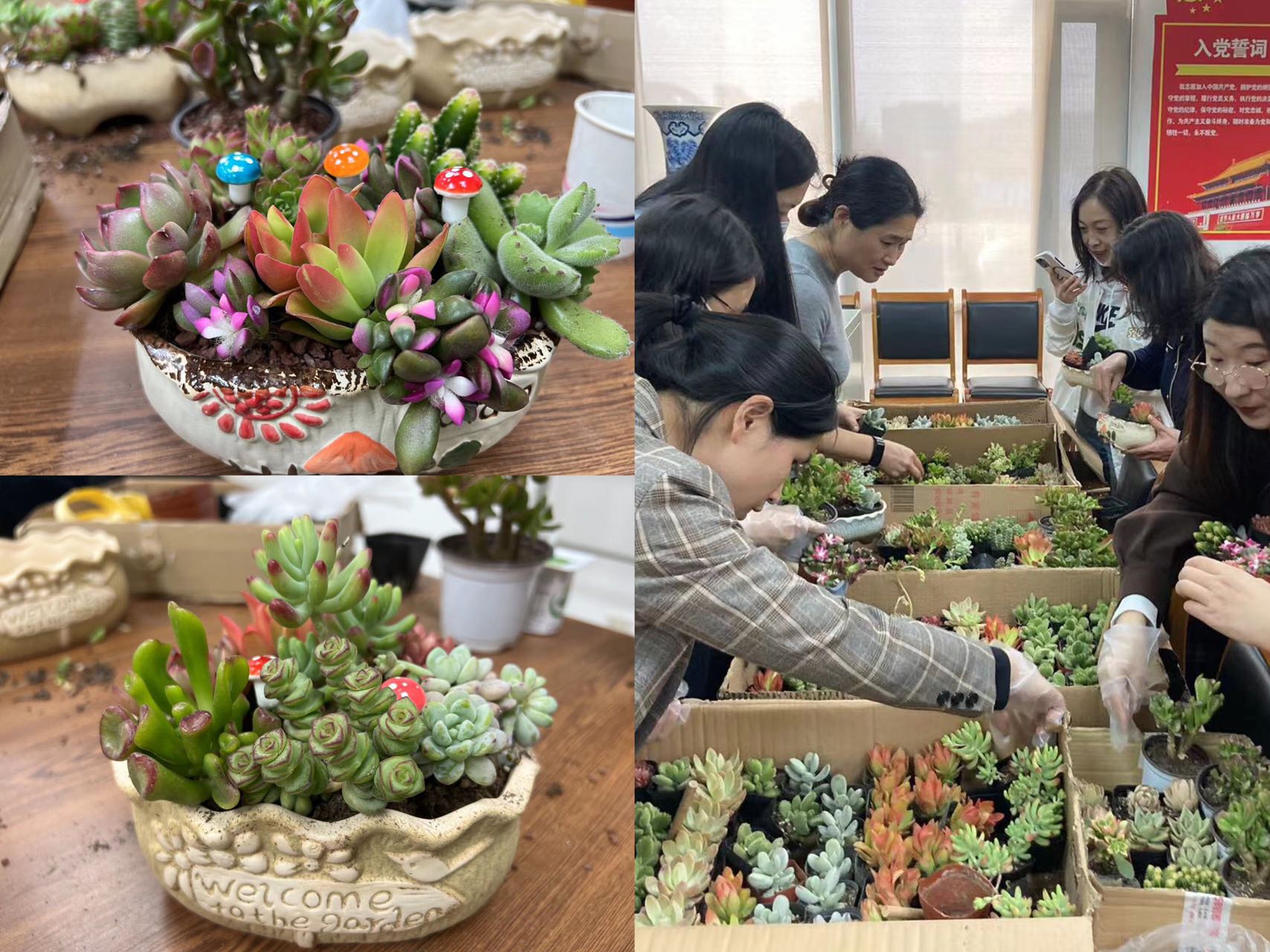 87E1648A6DF9D7C332917C9F63E_E71F89EC_5144B