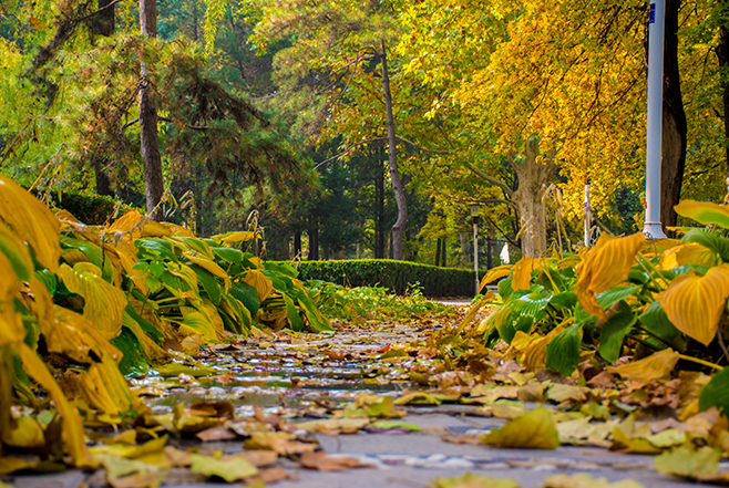 B48E448006FF4F8F58B53B37955_E590CF88_7E6B8