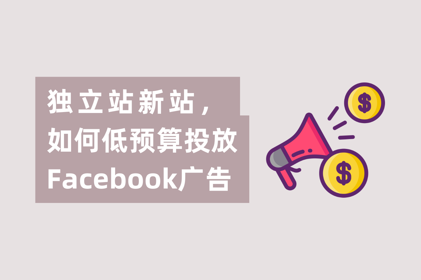 自力站新网站低预算，怎样投放Facebook广告？怎样界说小预算？